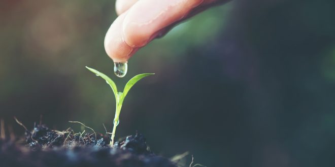 Alma 30-35: “Faith is Not to Have a Perfect Knowledge of&nbsp;Things”